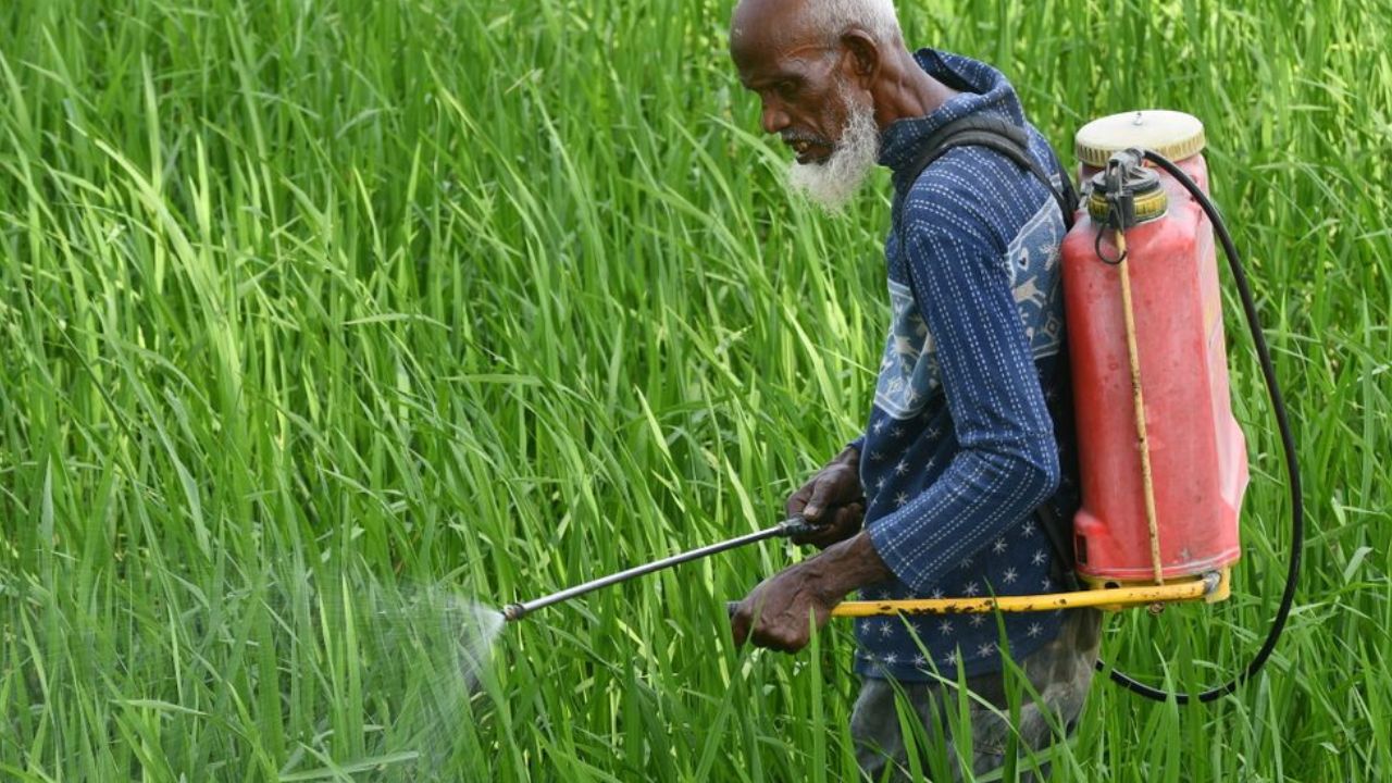 Temps met par le glyphosate pour agir