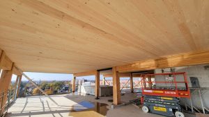 Plafond autoportant M48